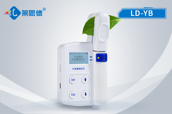 如何選擇適合的葉綠素測定儀？萊恩德葉綠素測定儀使用指南