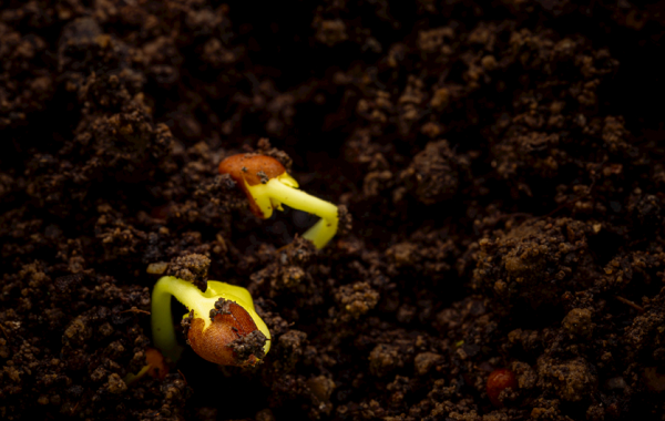 土壤研磨儀是什么？在選擇土壤研磨儀時(shí)應(yīng)該考慮哪些問(wèn)題？