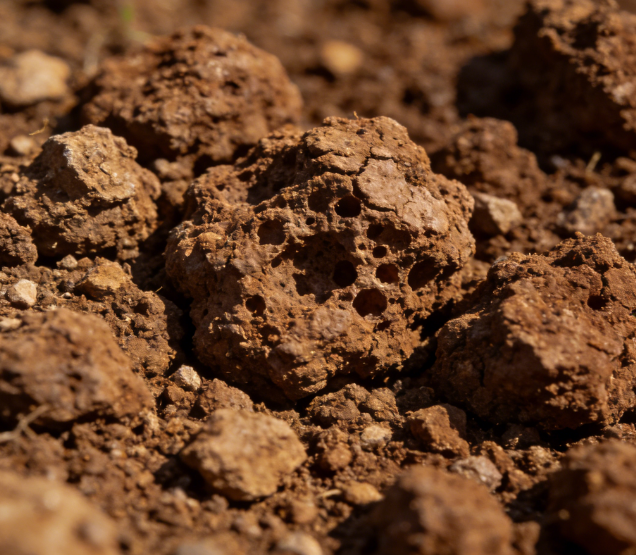 實驗室土壤團粒分析儀哪家好?高精度品牌排名推薦